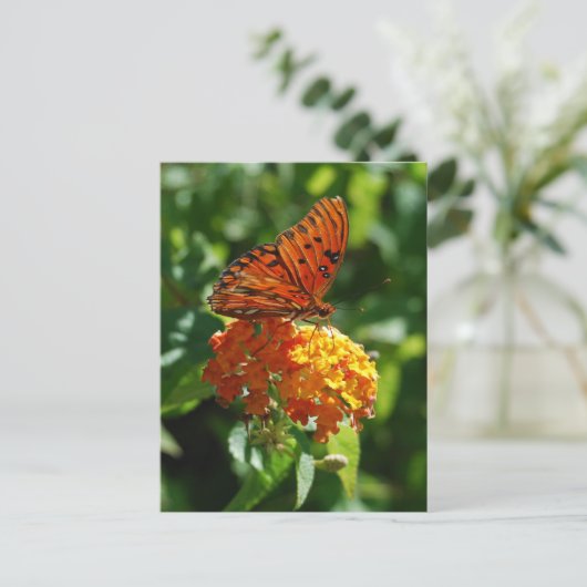 Gulf Fritillary Butterfly Briefkaart (Staand voorkant)