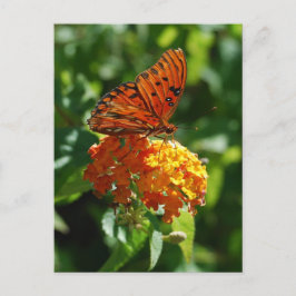 Gulf Fritillary Butterfly Briefkaart
