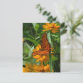 Gulf Fritillary Butterfly Briefkaart (Staand voorkant)