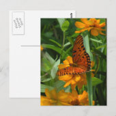 Gulf Fritillary Butterfly Briefkaart (Voorkant / Achterkant)