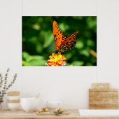Gulf Fritillary Butterfly Poster (Keuken)