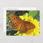 Gulf Fritillary Butterfly rusten op Sunflower Briefkaart (Voorkant / Achterkant)