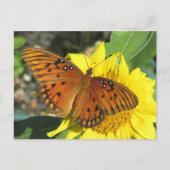 Gulf Fritillary Butterfly rusten op Sunflower Briefkaart (Voorkant)