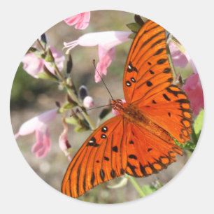 Gulf Fritillary Butterfly-stickers Ronde Sticker