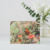 Gulf Fritillary on Zinnia Briefkaart (Staand voorkant)