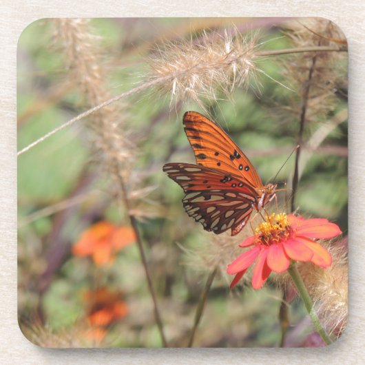 Gulf Fritillary on Zinnia Drankjes Onderzetter (Voorkant)