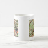 Gulf Fritillary on Zinnia Koffiemok (Center)