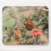 Gulf Fritillary on Zinnia Muismat (Voorkant)