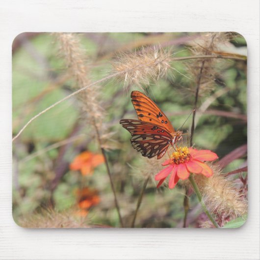 Gulf Fritillary on Zinnia Muismat (Voorkant)