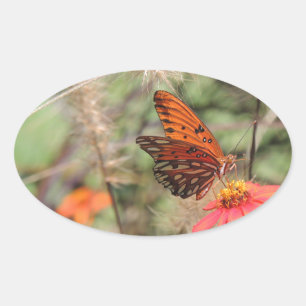 Gulf Fritillary on Zinnia Ovale Sticker