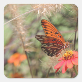 Gulf Fritillary on Zinnia Vierkante Sticker