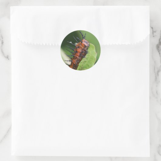 Gulf Fritillary Vlinder Caterpillar Stickers (Tas)