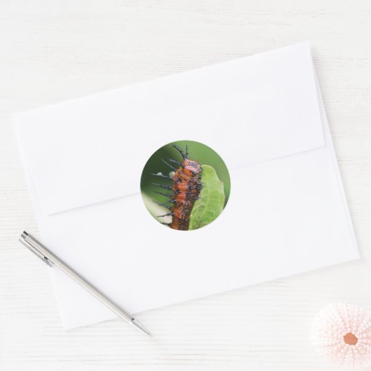 Gulf Fritillary Vlinder Caterpillar Stickers (Envelop)