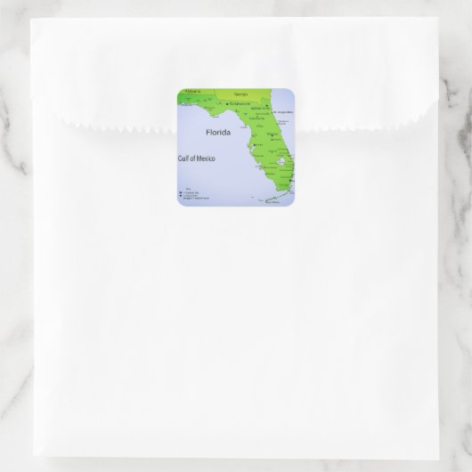 GULF OF MEXICO VIERKANTE STICKER (Tas)