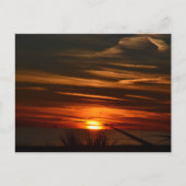 Gulf Shores Plantation Briefkaart (Voorkant)