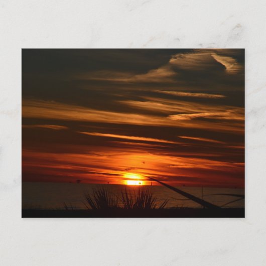 Gulf Shores Plantation Briefkaart (Voorkant)