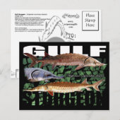 Gulf Sturgeon-Collage-Briefkaart Briefkaart (Voorkant / Achterkant)