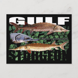 Gulf Sturgeon-Collage-Briefkaart Briefkaart