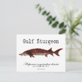 Gulf-White-Briefkaart Briefkaart (Staand voorkant)