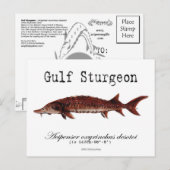 Gulf-White-Briefkaart Briefkaart (Voorkant / Achterkant)