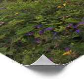 Gulfoss Waterfall Poster (Hoek)