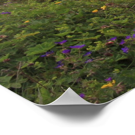 Gulfoss Waterfall Poster (Hoek)