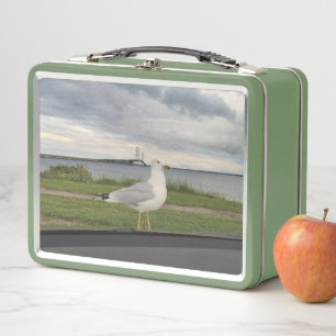 Gull