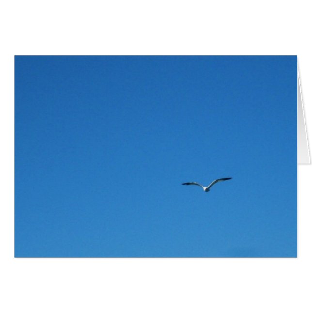 Gull (Voorkant Horizontaal)