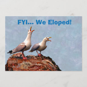 Gull Announding we Eloped Aankondiging