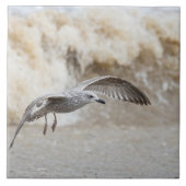 Gull Bird Flying Tegeltje (Voorkant)