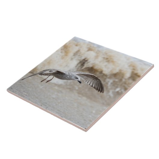 Gull Bird Flying Tegeltje (Zijkant)