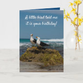 Gull Bird Secluded Beach in Paradise Birthday Kaart (Gele Bloem)