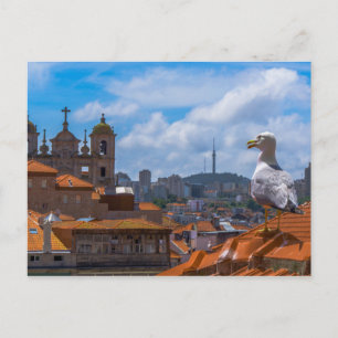 Gull Birds Eye Uitzicht Rooftops uit Portugal Briefkaart