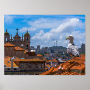 Gull Birds Eye Uitzicht Rooftops uit Portugal Poster