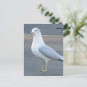 Gull Briefkaart (Staand voorkant)