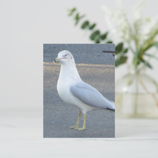 Gull Briefkaart (Staand voorkant)
