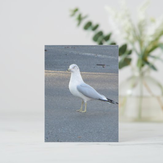 Gull Briefkaart (Staand voorkant)