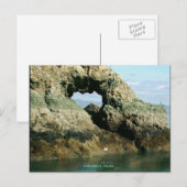 Gull-eiland, Alaska Briefkaart (Voorkant / Achterkant)