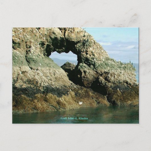 Gull-eiland, Alaska Briefkaart (Voorkant)