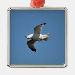 Gull Flying Upside Down Funny Wildlife Foto Metalen Ornament