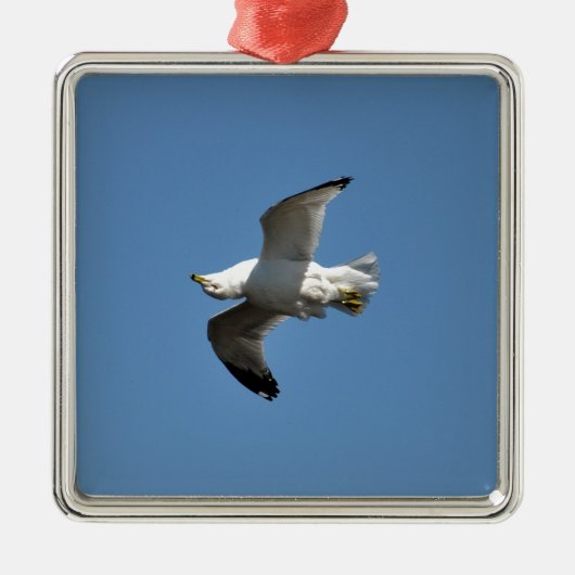 Gull Flying Upside Down Funny Wildlife Foto Metalen Ornament (Voorkant)
