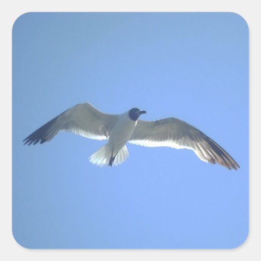 Gull in de vlucht vierkante sticker (Voorkant)