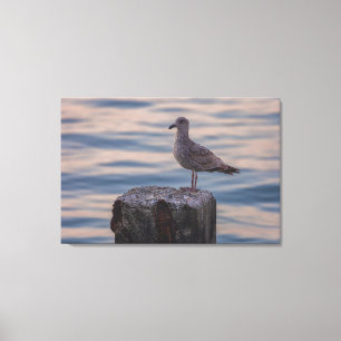 Gull in Dusk Canvas Afdruk