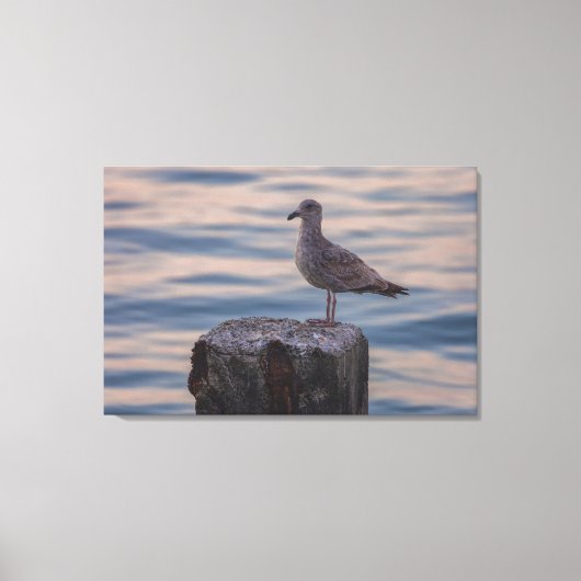 Gull in Dusk Canvas Afdruk (Voorkant)
