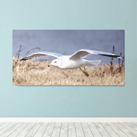 Gull in flight canvas afdruk (Insitu (Houten vloer))