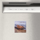 Gull in Lubec, Maine Magneet (Insitu (Vaatwasser))