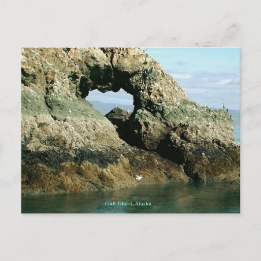 Gull Island, Alaska Briefkaart (Voorkant)