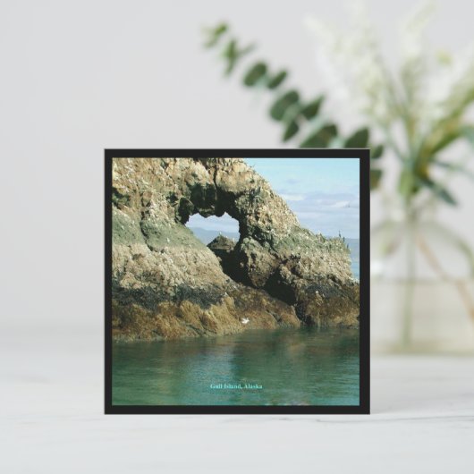 Gull Island, Alaska Kaart (Staand voorkant)
