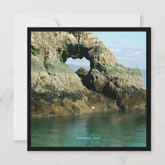 Gull Island, Alaska Kaart (Voorkant)