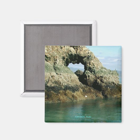 Gull Island, Alaska Magneet (Voorkant / Achterkant)